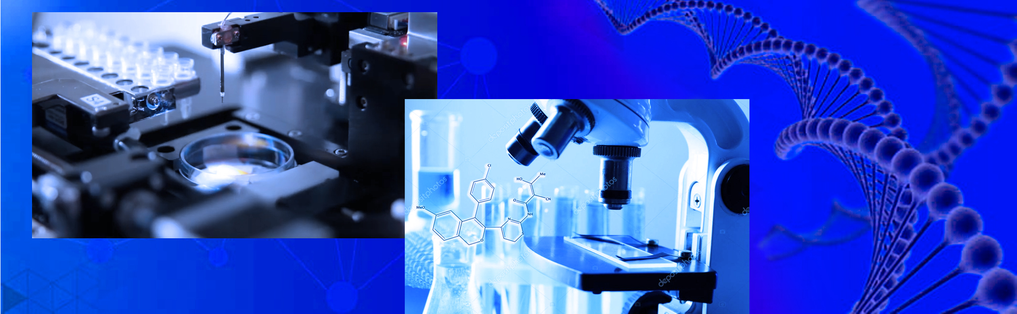 Frontier Bio Systems
